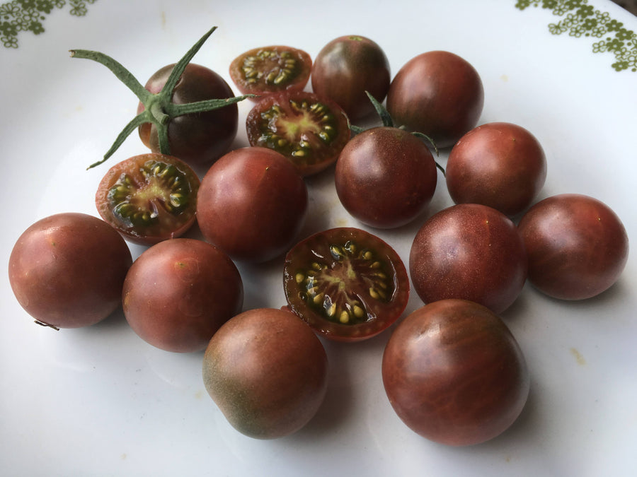 Black Cherry Tomato