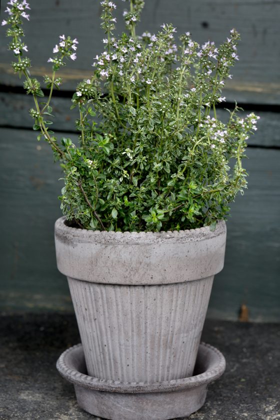 Simona 12cm Grey