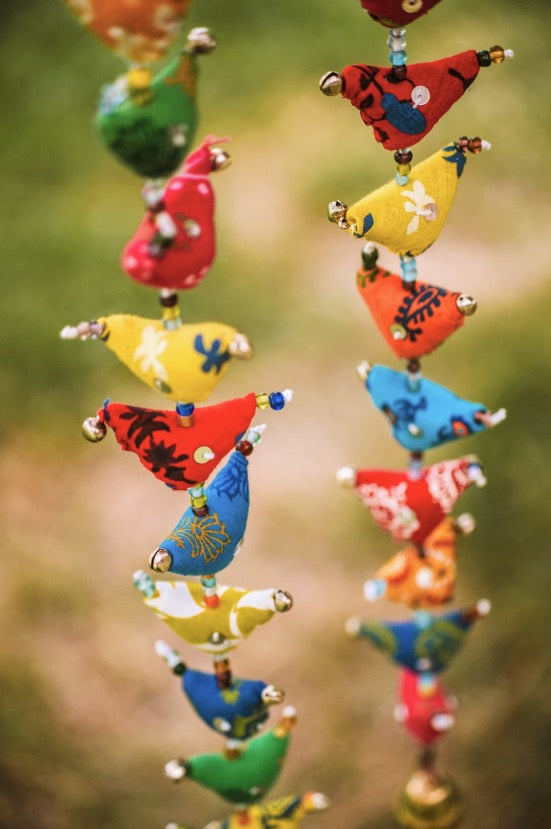 Prosperity Tota - Long ( 30 Birds )