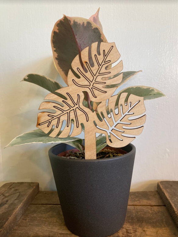 Plant Stakes