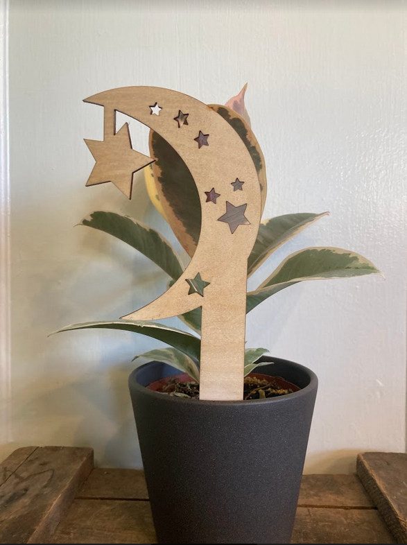 Plant Stakes