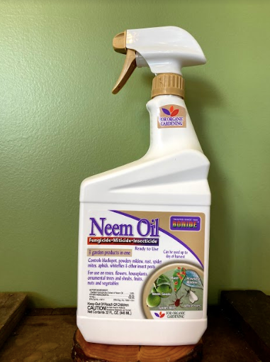 Neem Oil 32fl oz
