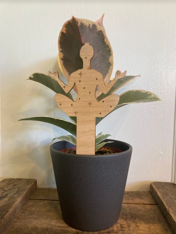 Plant Stakes