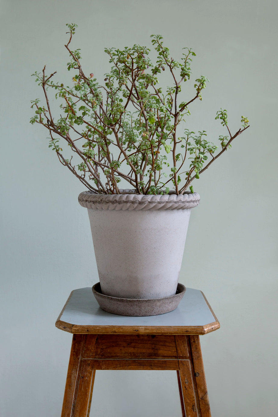 Emilia 16cm Grey