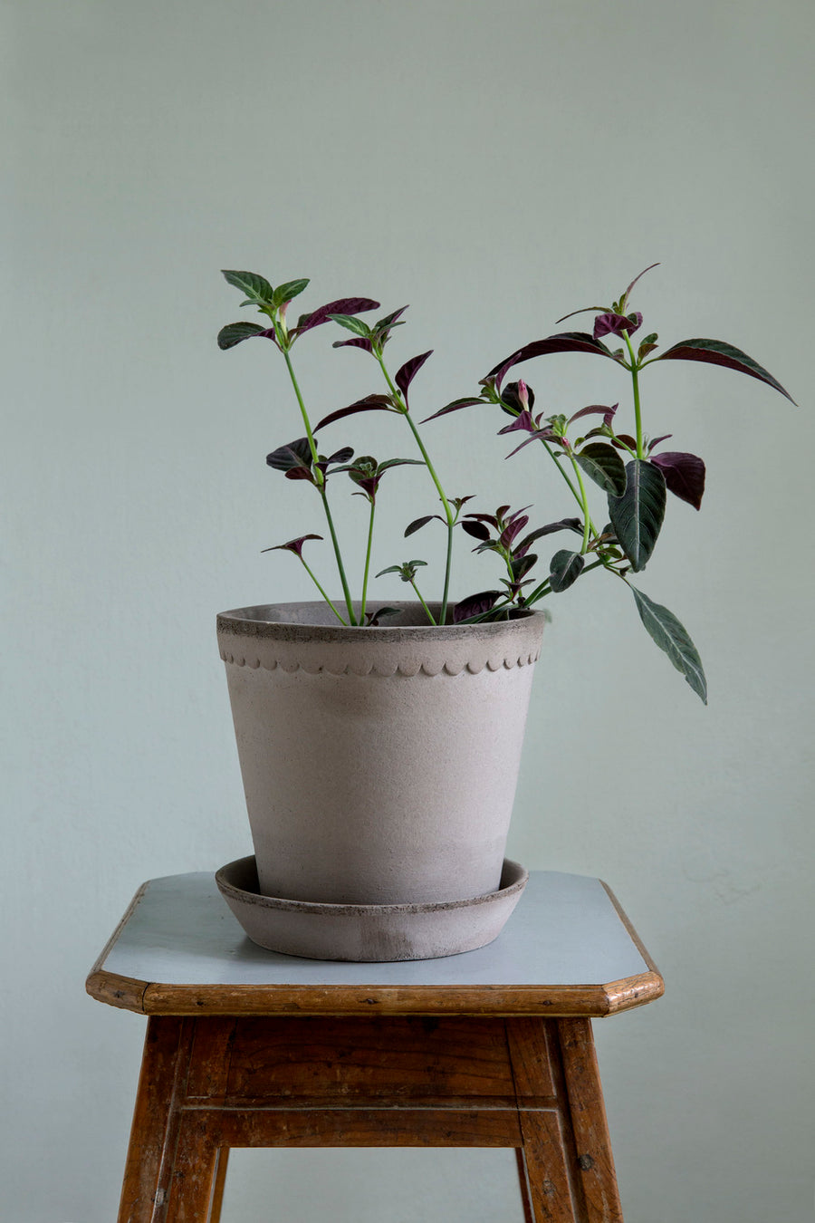 Helena 14cm Grey