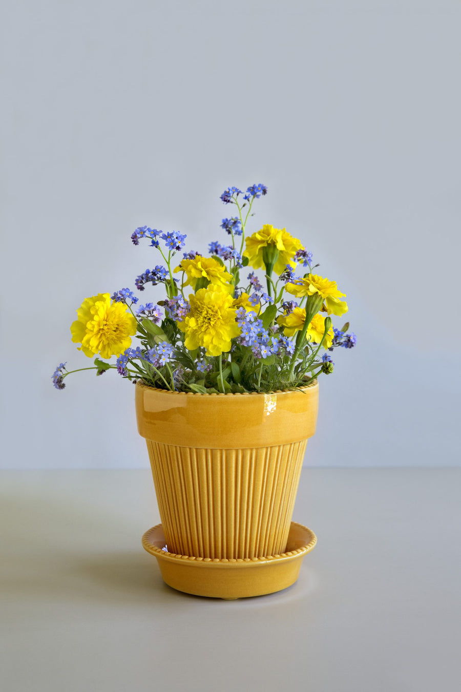 Simona 12cm Yellow